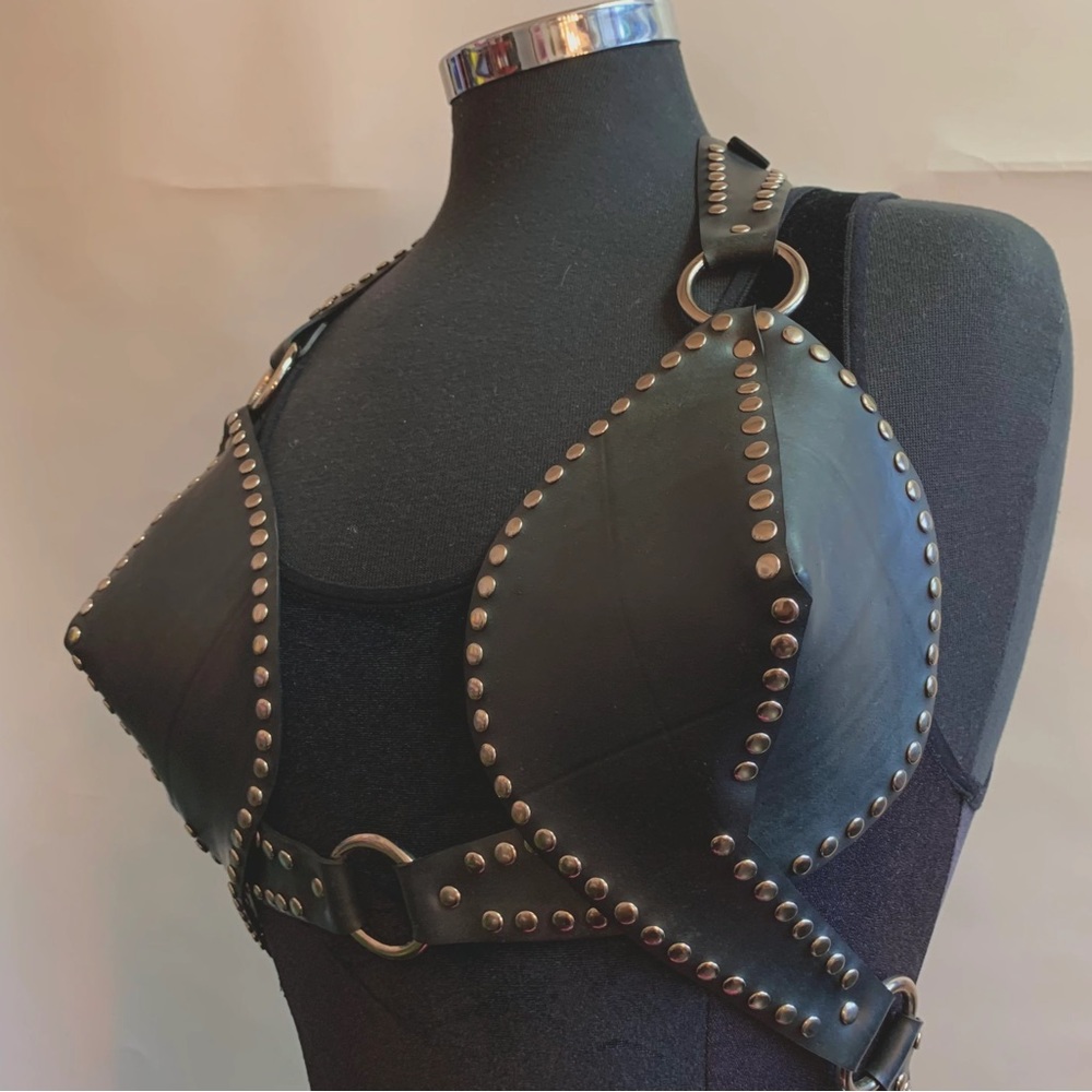 Broke boutique imbricate bra